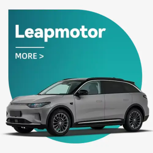 LEAPMOTOR